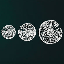 Görseli Galeri görüntüleyiciye yükleyin, Kum Doları Metal Duvar Dekoru