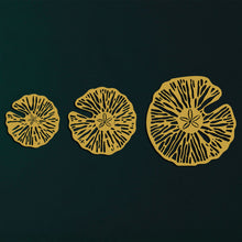 Görseli Galeri görüntüleyiciye yükleyin, Kum Doları Metal Duvar Dekoru