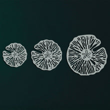 Görseli Galeri görüntüleyiciye yükleyin, Kum Doları Metal Duvar Dekoru