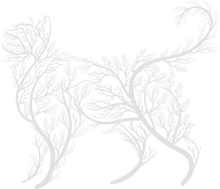 Görseli Galeri görüntüleyiciye yükleyin, Ağaçlı Kedi Metal Duvar Dekoru