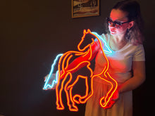 Görseli Galeri görüntüleyiciye yükleyin, At Neon Tabela