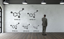 Görseli Galeri görüntüleyiciye yükleyin, Serotonin Metal Duvar Dekoru