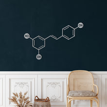 Görseli Galeri görüntüleyiciye yükleyin, Şarap Molekülü Metal Duvar Dekoru