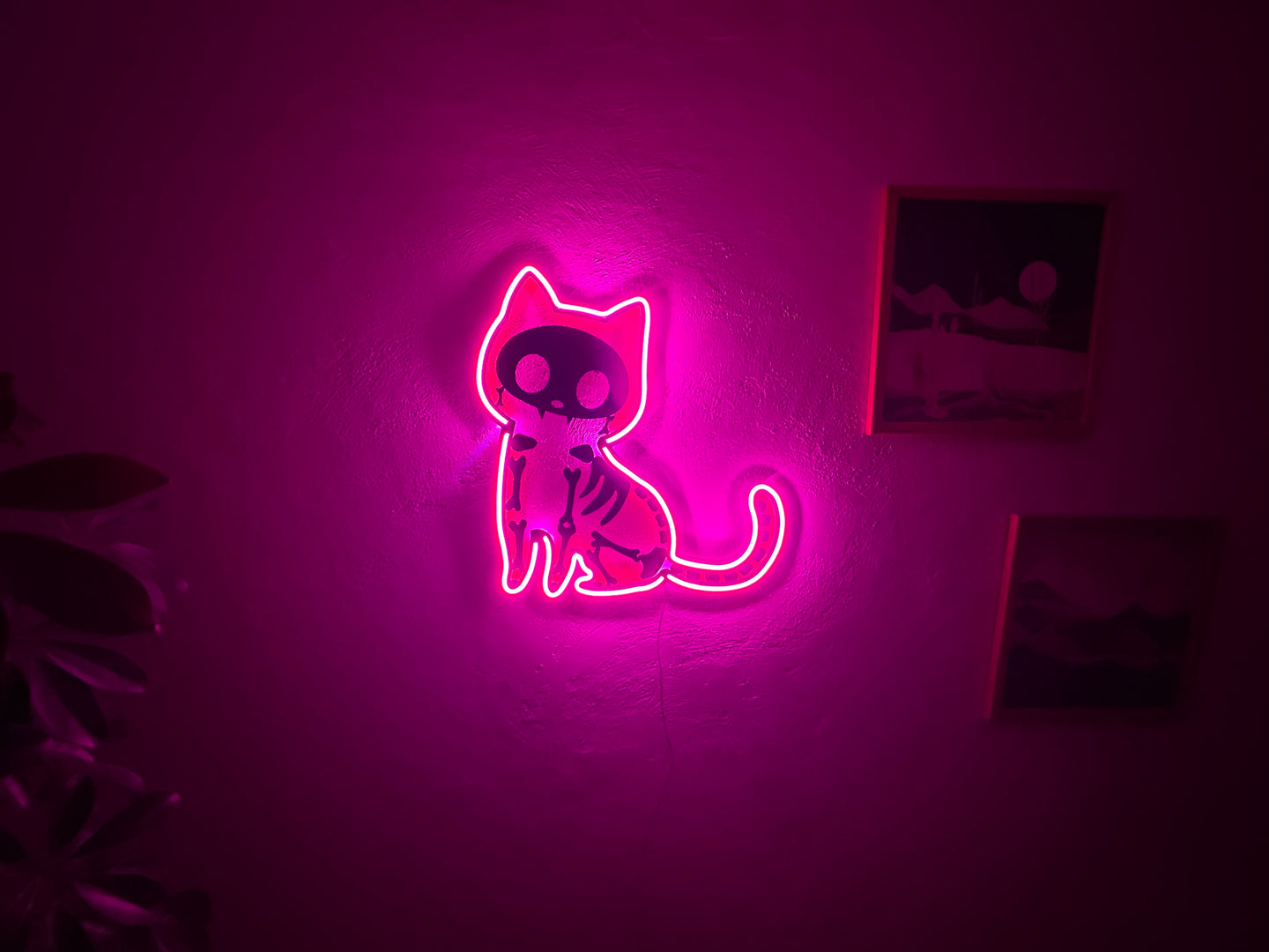 X-Ray Cat Neon Tabela