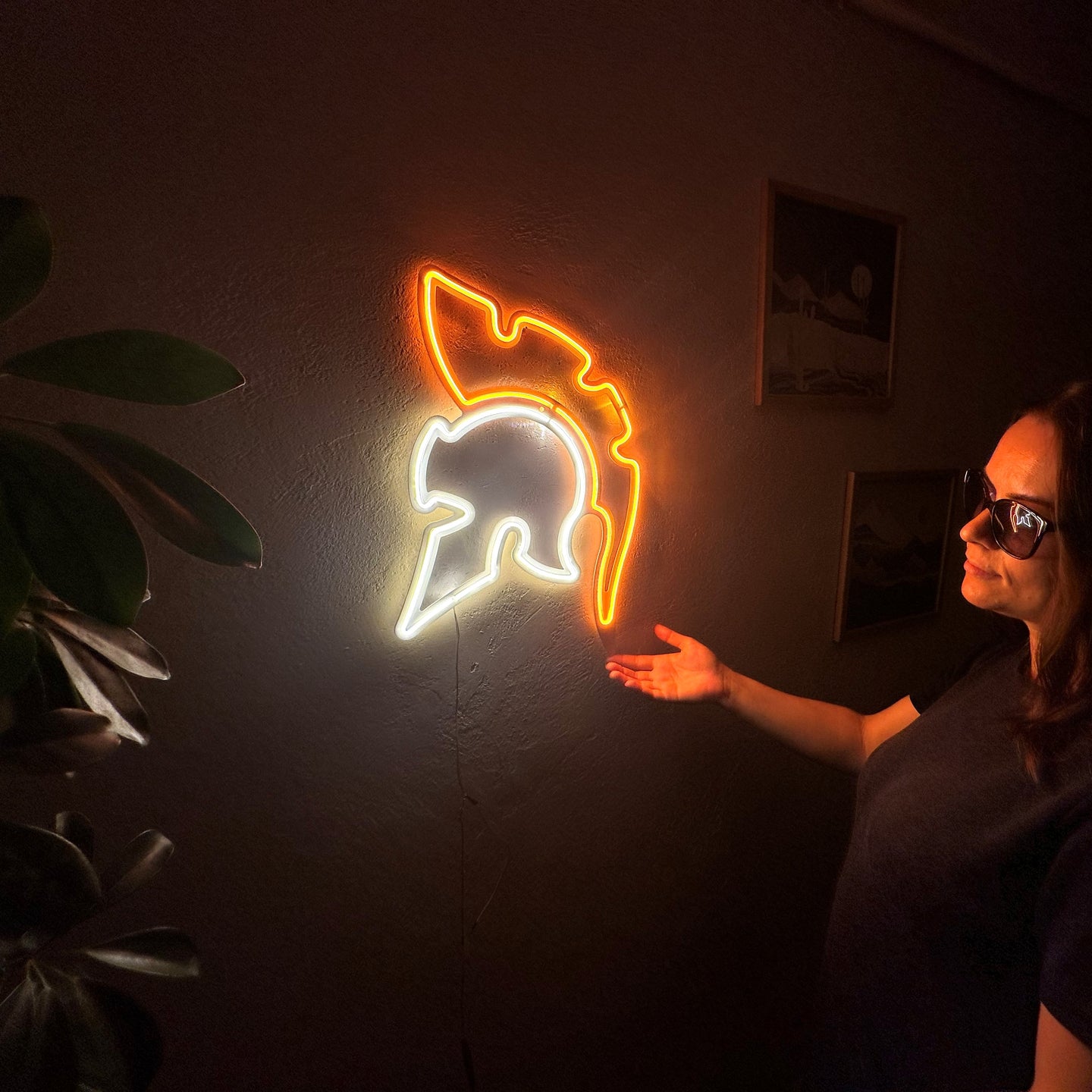 Şövalye Neon Tabela