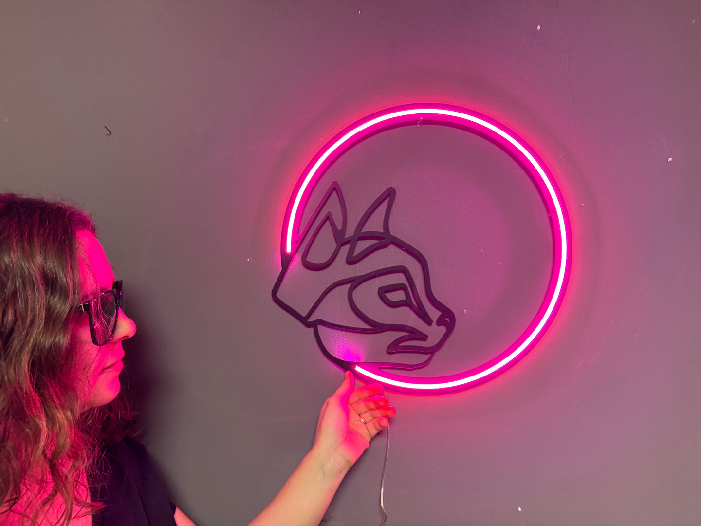 Kedicik ve Ay Neon Tabela