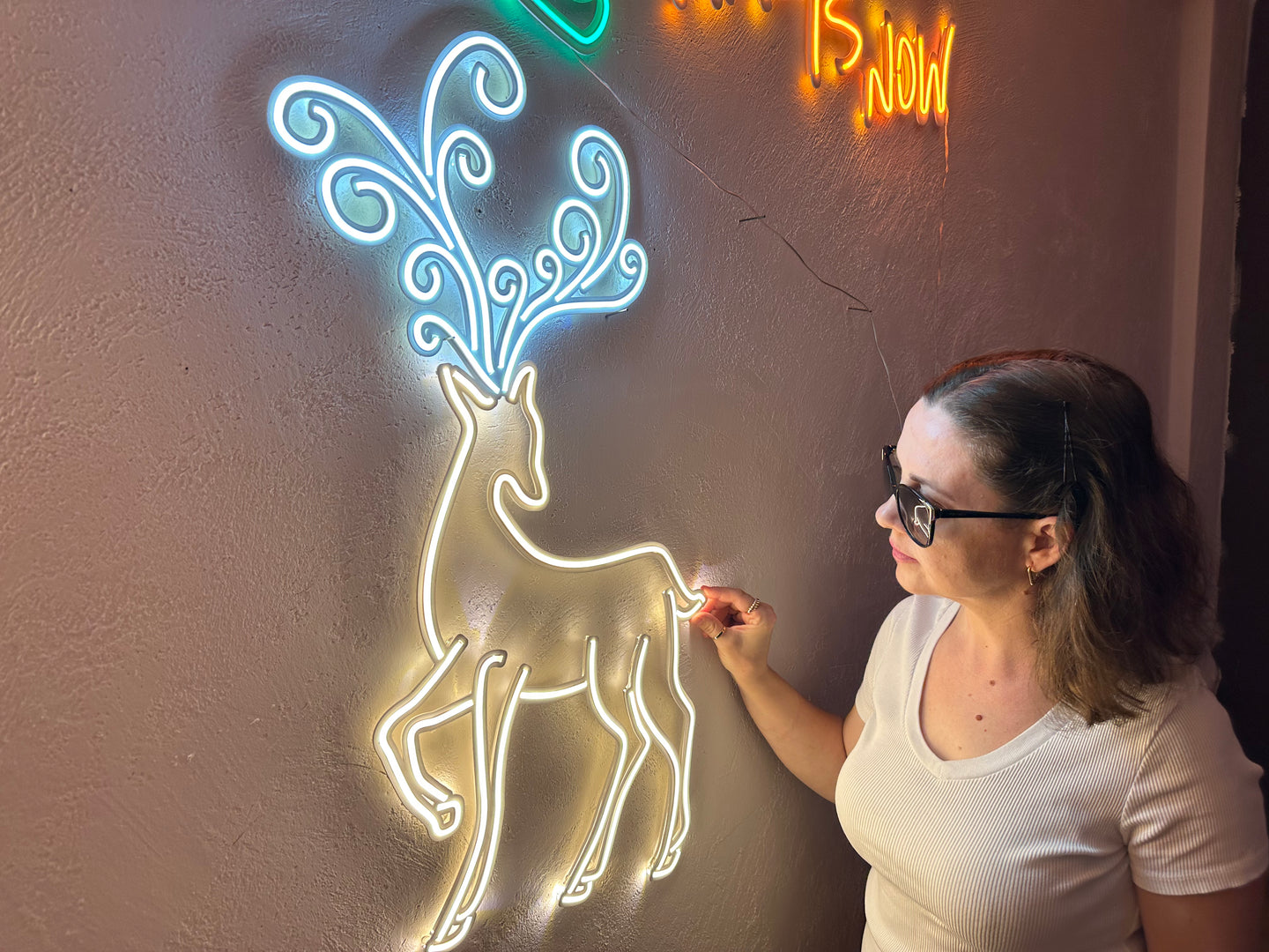 Geyik Neon Tabela